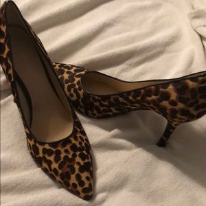 Leopard shoes